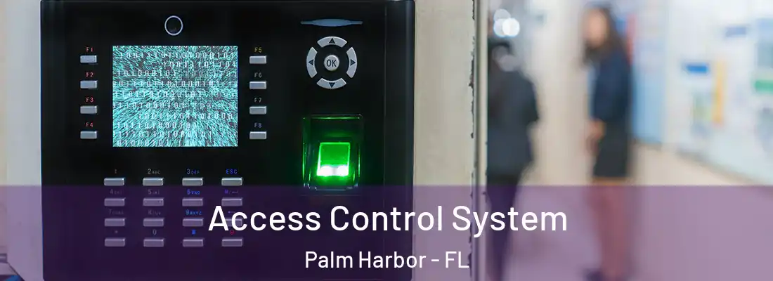Access Control System Palm Harbor - FL
