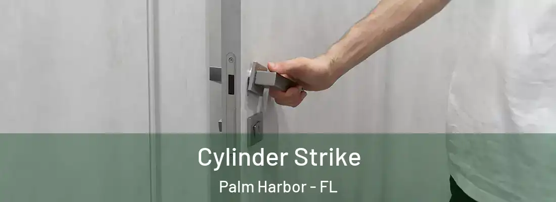  Cylinder Strike Palm Harbor - FL