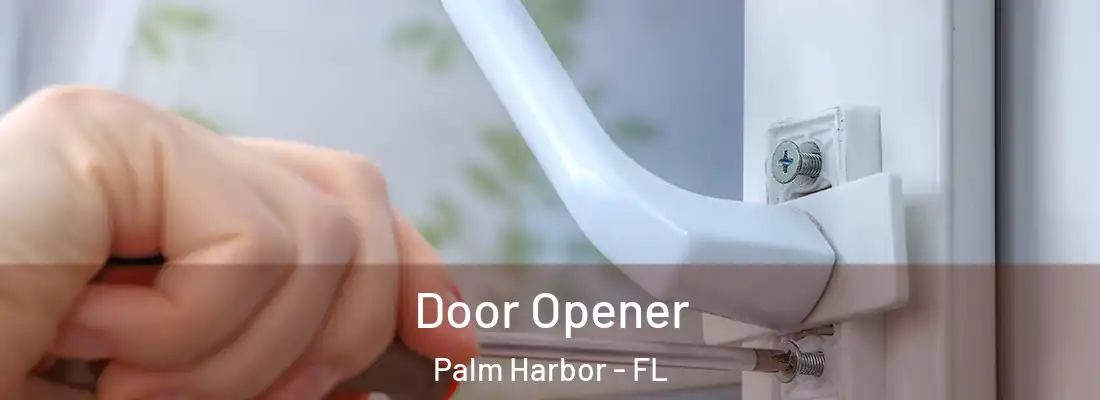  Door Opener Palm Harbor - FL