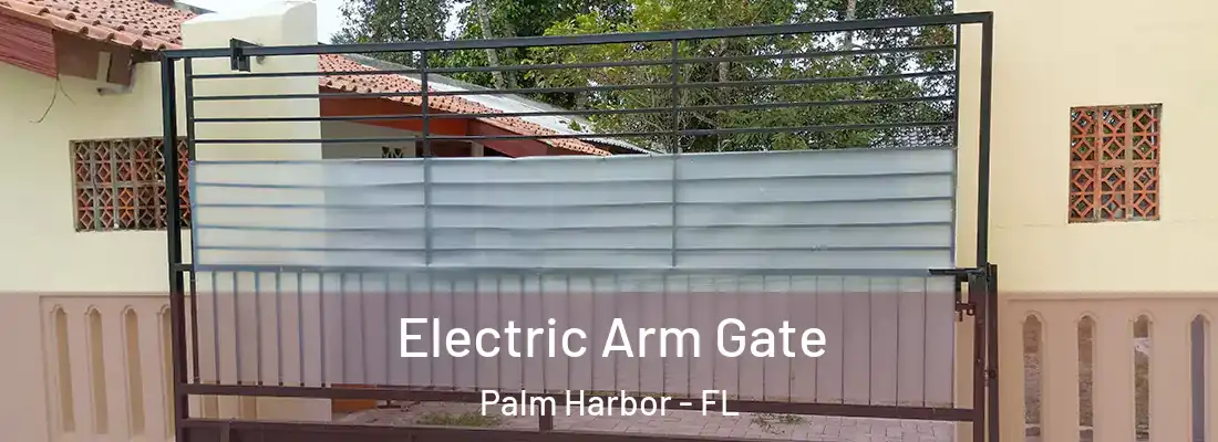 Electric Arm Gate Palm Harbor - FL