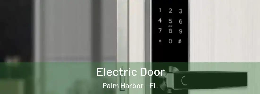 Electric Door Palm Harbor - FL