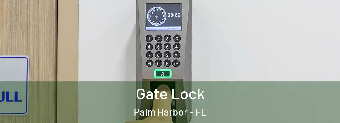Gate Lock Palm Harbor - FL