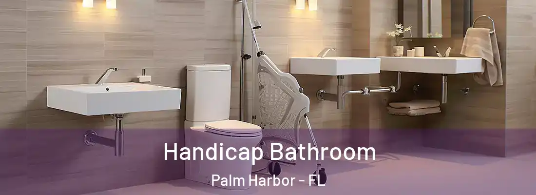 Handicap Bathroom Palm Harbor - FL
