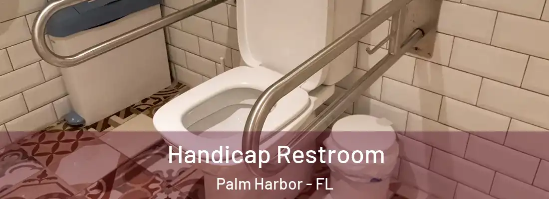Handicap Restroom Palm Harbor - FL