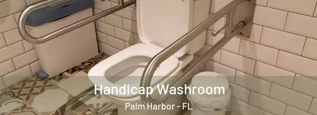 Handicap Washroom Palm Harbor - FL