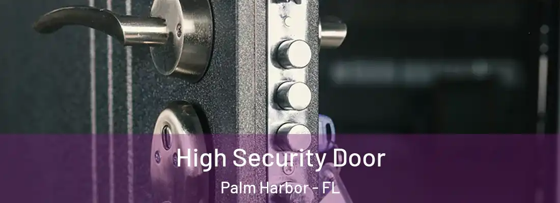  High Security Door Palm Harbor - FL