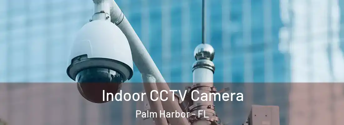 Indoor CCTV Camera Palm Harbor - FL