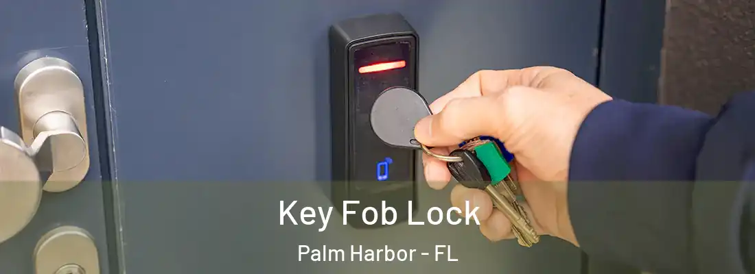 Key Fob Lock Palm Harbor - FL