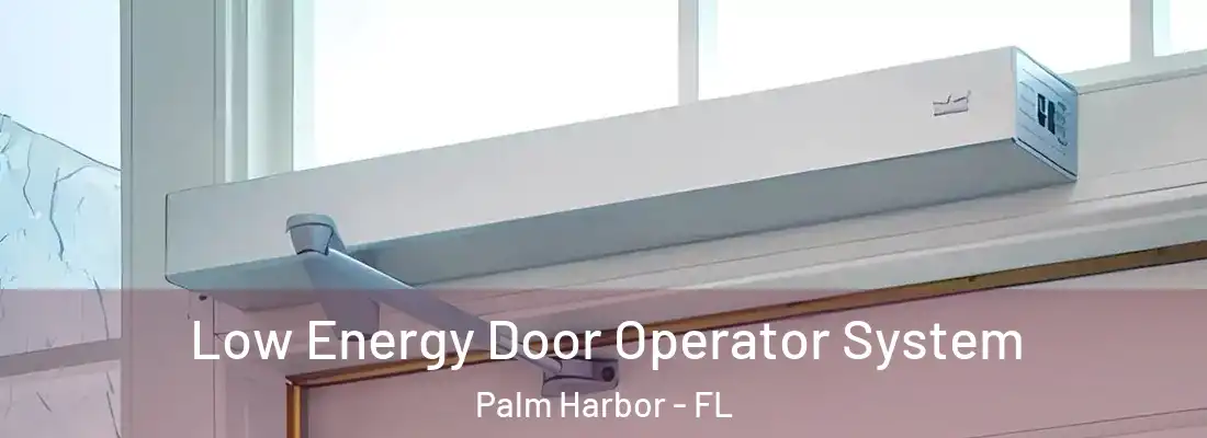 Low Energy Door Operator System Palm Harbor - FL
