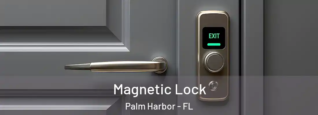 Magnetic Lock Palm Harbor - FL