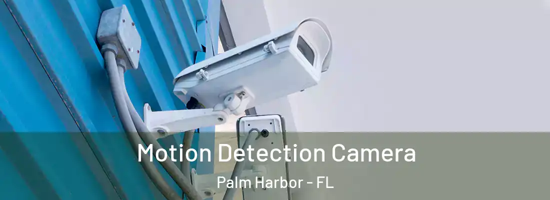 Motion Detection Camera Palm Harbor - FL