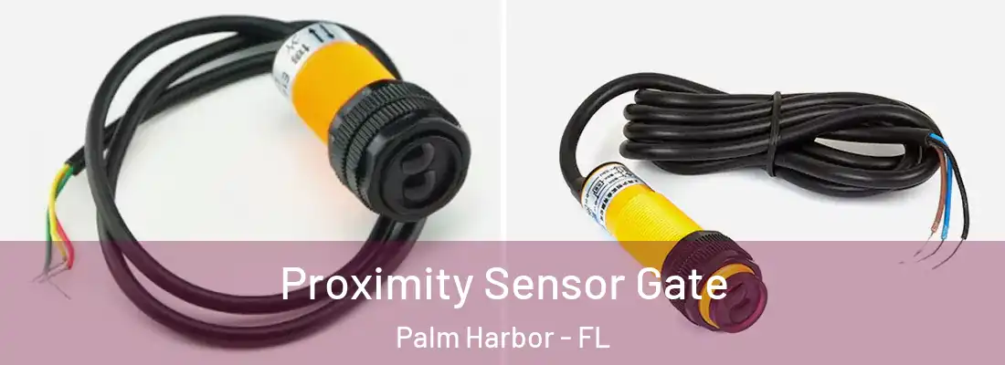 Proximity Sensor Gate Palm Harbor - FL