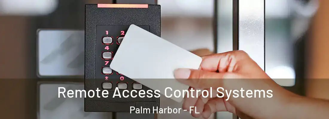 Remote Access Control Systems Palm Harbor - FL