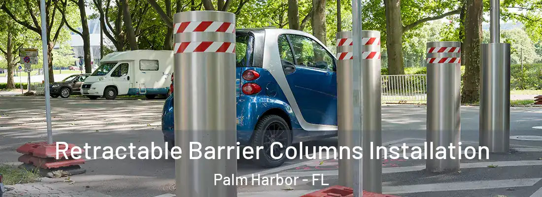  Retractable Barrier Columns Installation Palm Harbor - FL