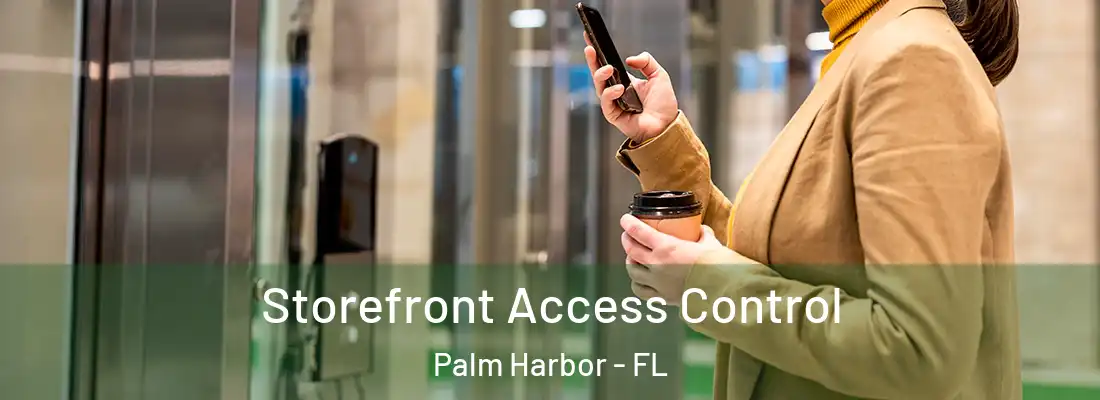  Storefront Access Control Palm Harbor - FL